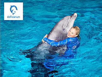 דולפינריום הולנד