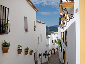 קלאב מד ספרד