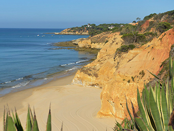 קלאב מד פורטוגל
