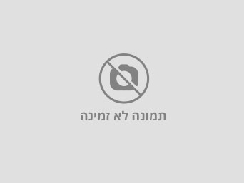 ב.ד.גרייבר